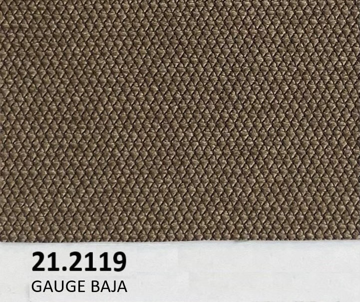 21.2119 GAUGE BAJA 2021 FORD TRUCK F150 **IN STOCK**   